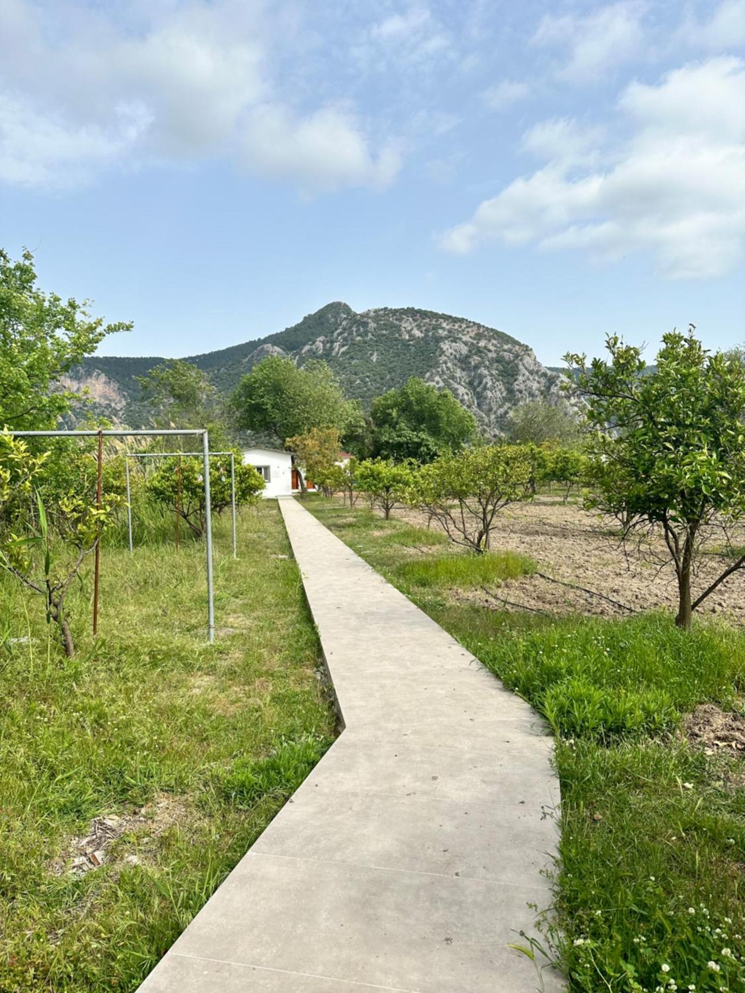 Bahaus Resort Dalyan Pokoj fotografie